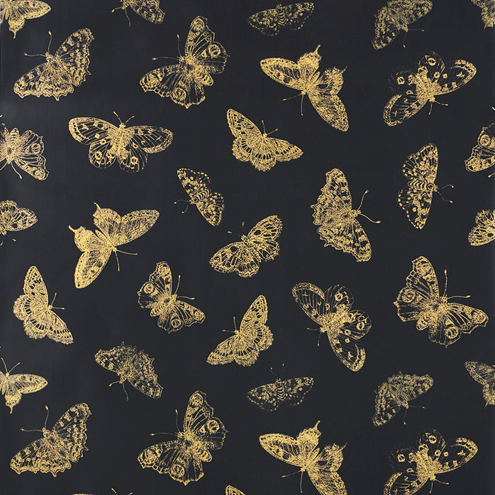 Schumacher Burnell Butterfly Black Wallpaper 5011742