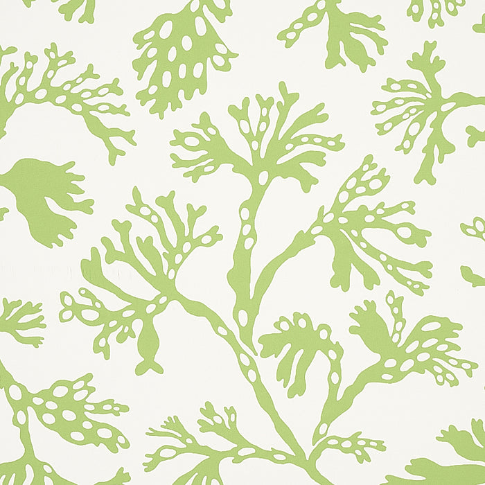 Schumacher Anthoza Green Wallpaper 5012131