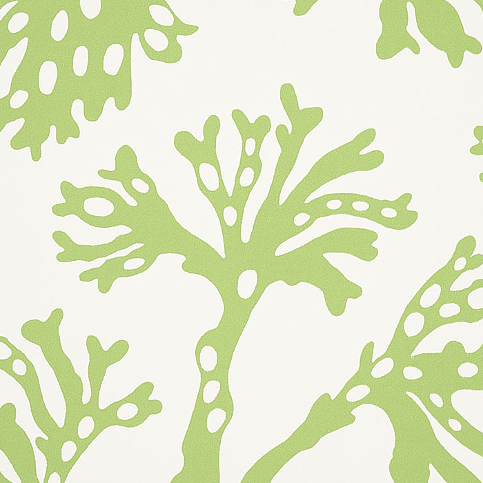 Schumacher Anthoza Green Wallpaper 5012131