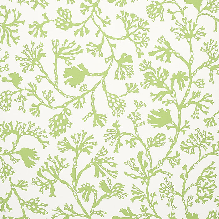 Schumacher Anthoza Green Wallpaper 5012131