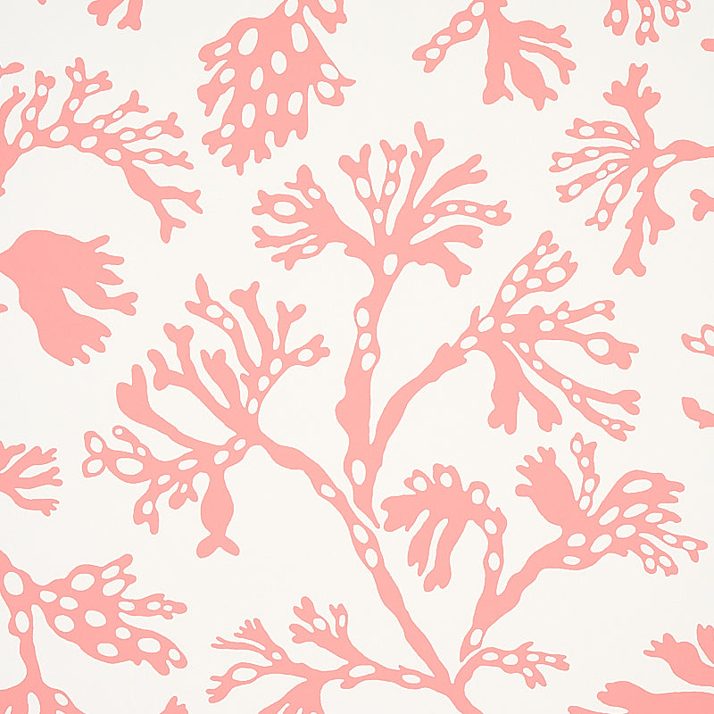 Schumacher Anthoza Coral Wallpaper 5012132