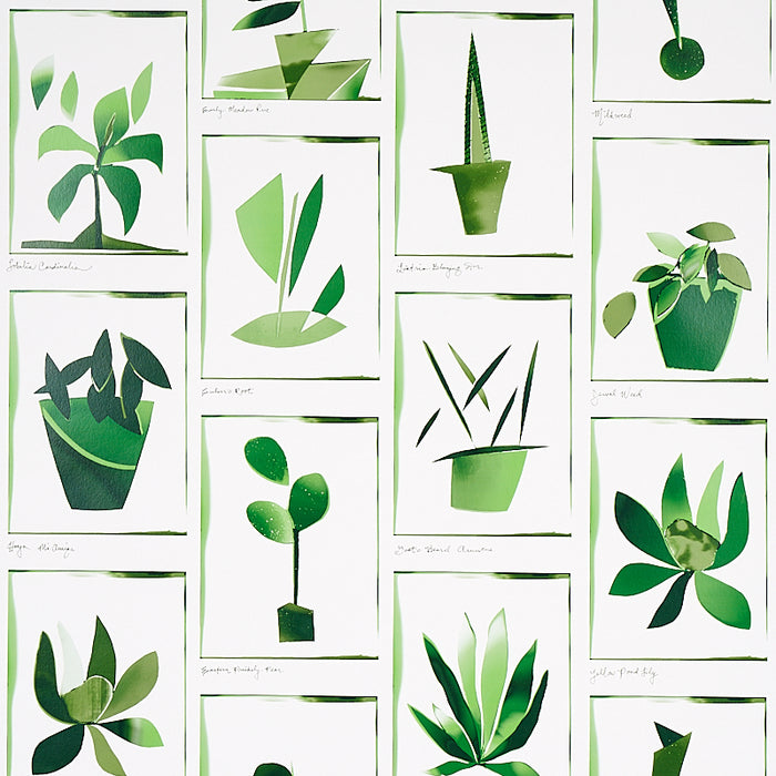 Schumacher Botanicals Greenhouse Wallpaper 5012691