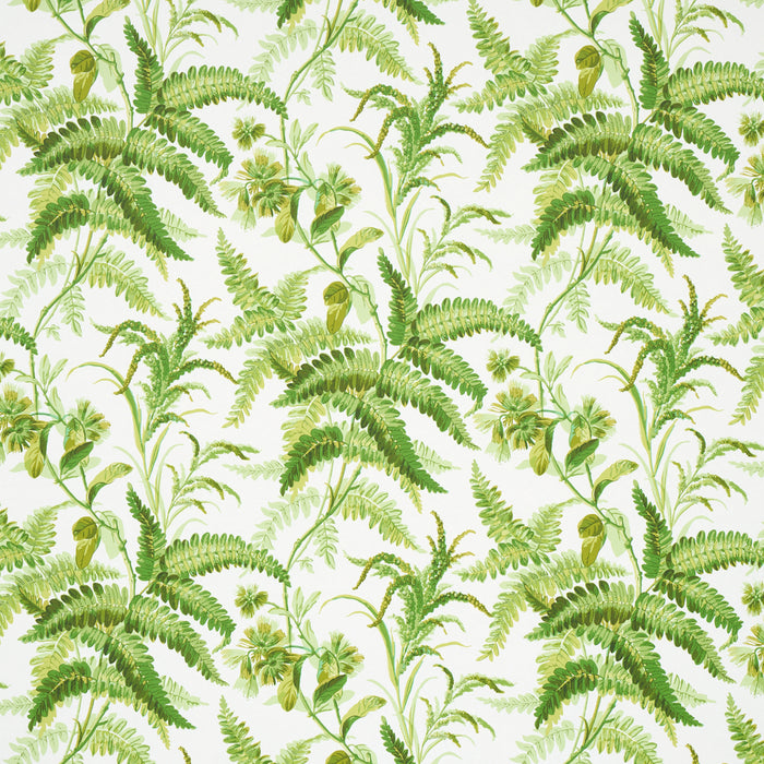 Schumacher Myers Fern Tropical Wallpaper 5013231