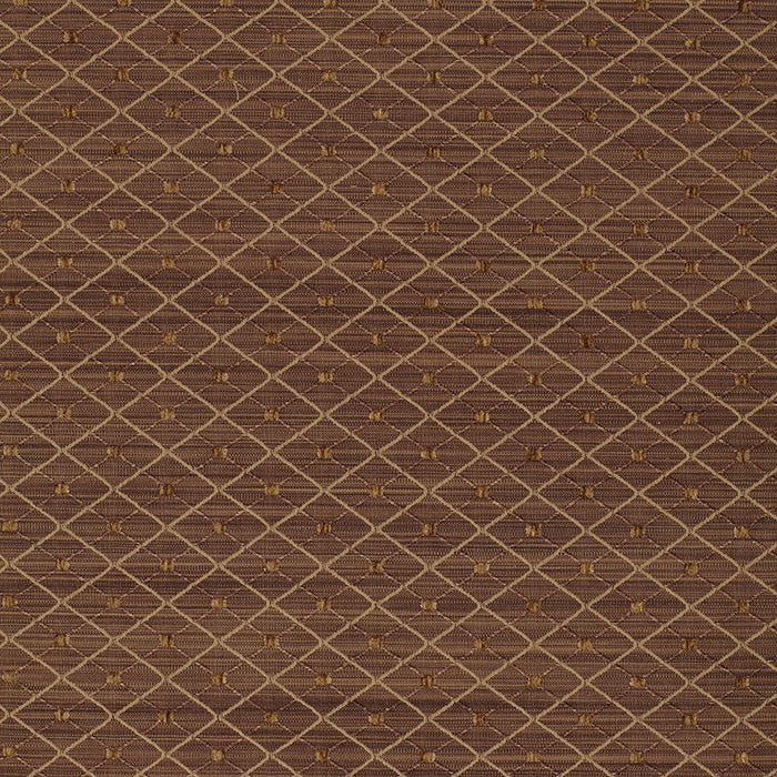 Schumacher Lasalle Mocha Fabric Sample 50405