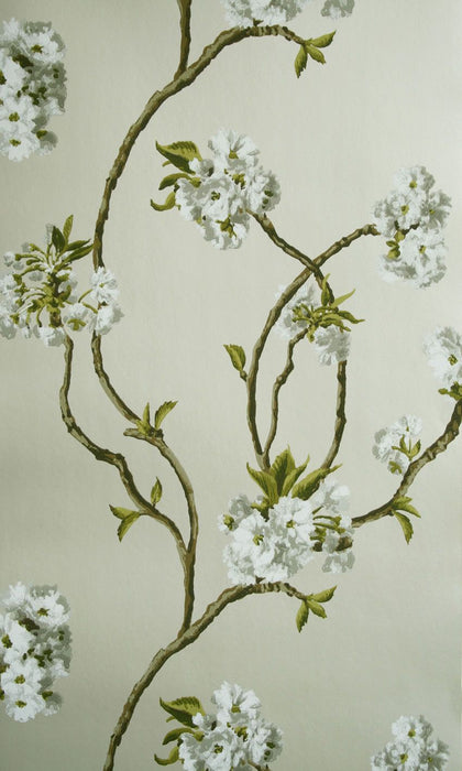 Nina Campbell Orchard Blossom 05 Wallpaper NCW4027-05