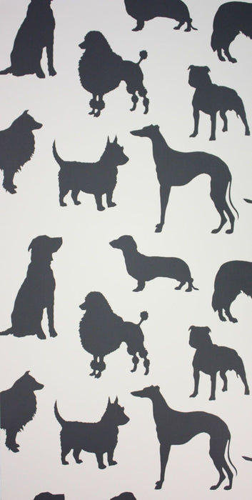 Osborne & Little Best In Show 3 Wallpaper W6181-03