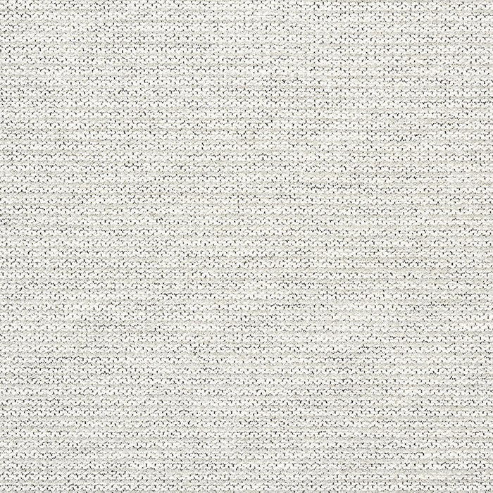 Schumacher Roma Grey Fabric Sample 54482