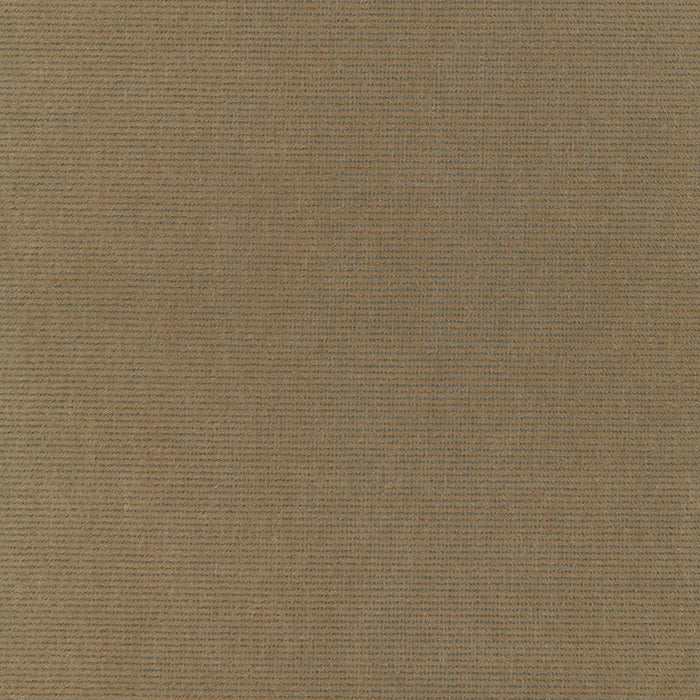 Schumacher Chiaroscuro Velvet Mink Fabric Sample 54885