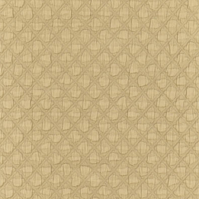 Schumacher Lucca Matelasse Antelope Fabric Sample 55581