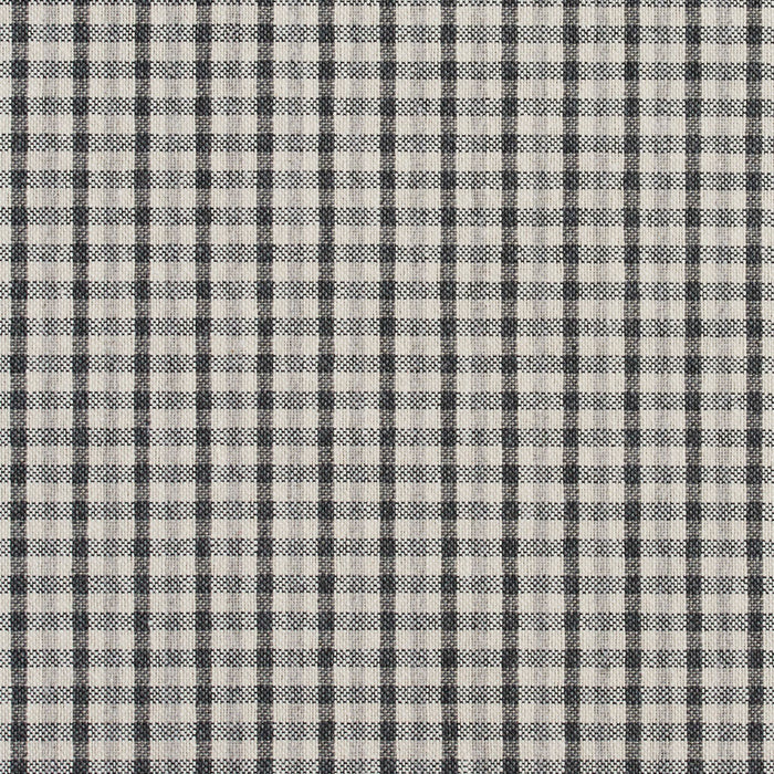 Charlotte Sterling Check Fabric 5810