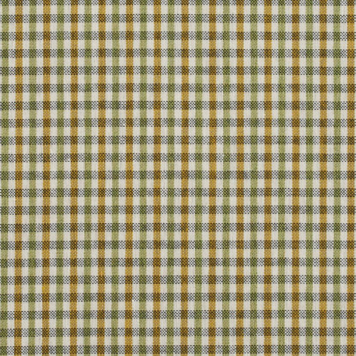 Charlotte Spring Check Fabric 5818