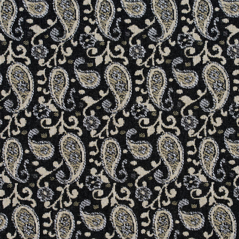 Charlotte Onyx Paisley Fabric 5845