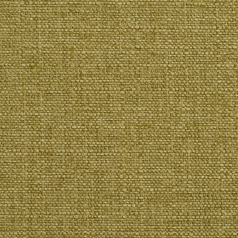 Charlotte Kiwi Fabric 5908