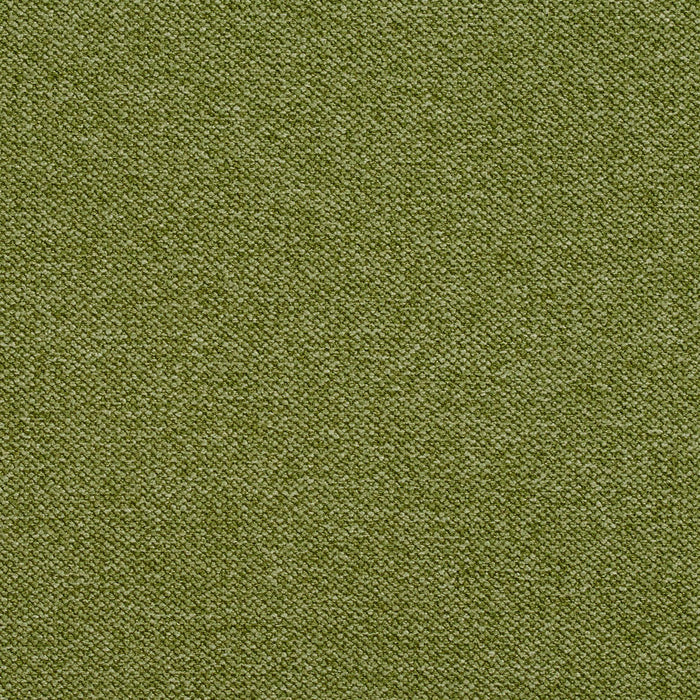 Charlotte Fern Fabric Sample 5956