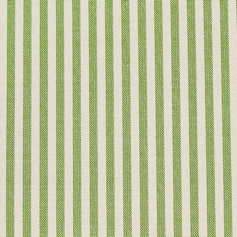 Schumacher Charee Silk Stripe Green Fabric Sample 60925