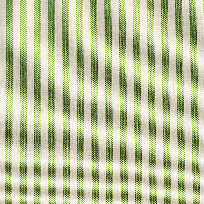 Schumacher Charee Silk Stripe Green Fabric Sample 60925