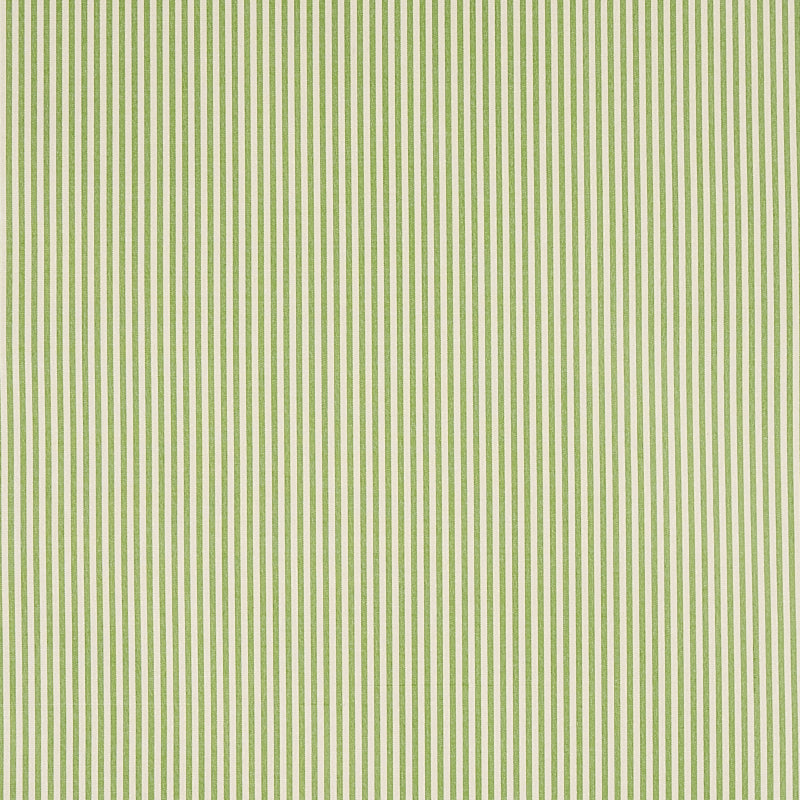 Schumacher Charee Silk Stripe Green Fabric 60925