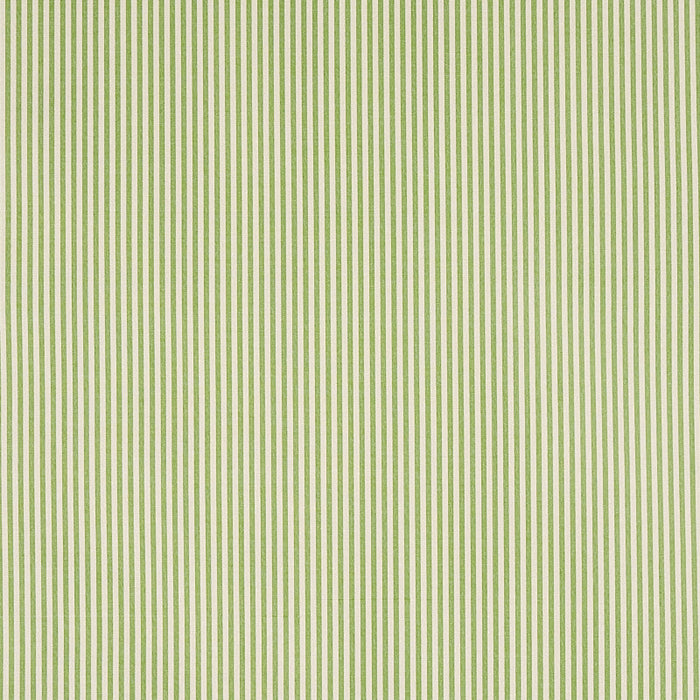 Schumacher Charee Silk Stripe Green Fabric Sample 60925