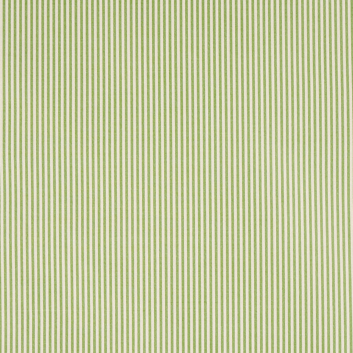 Schumacher Charee Silk Stripe Green Fabric 60925