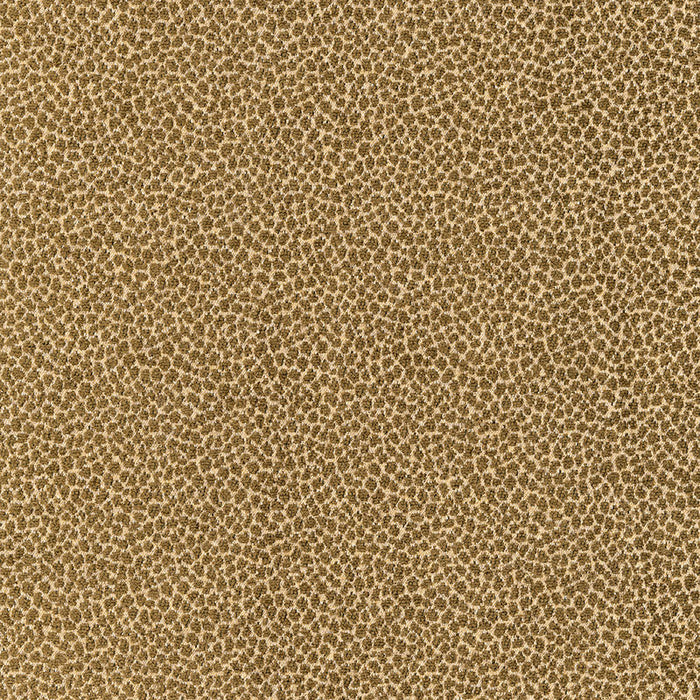 Schumacher Kenya Texture Olive Fabric 62572