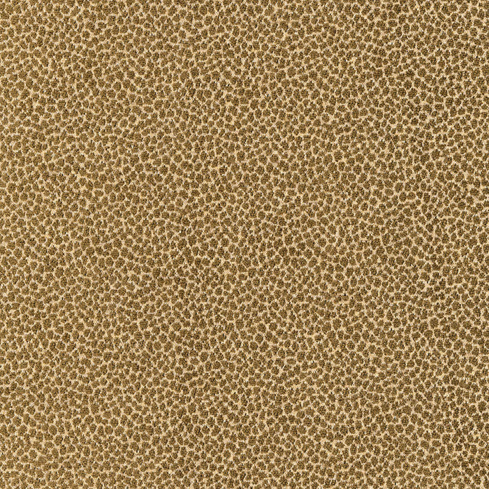 Schumacher Kenya Texture Olive Fabric Sample 62572