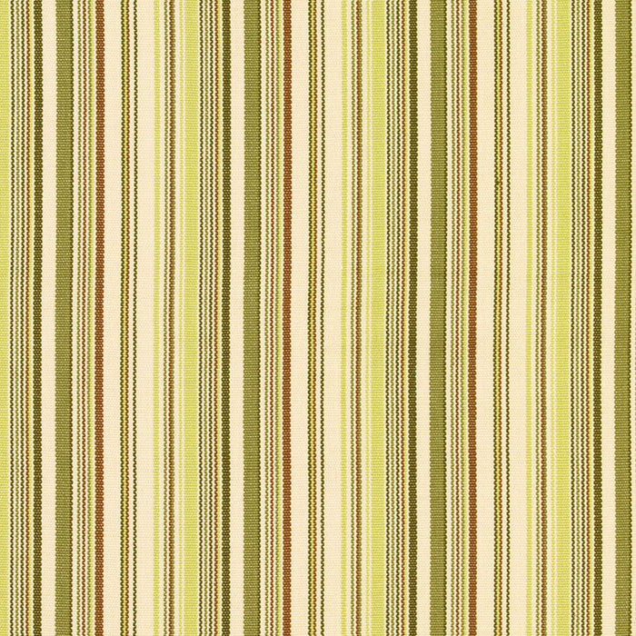 Schumacher Malibu Stripe Pear Fabric Sample 63453