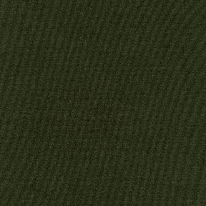 Schumacher Masaccio Taffeta Vert Fabric Sample 63911