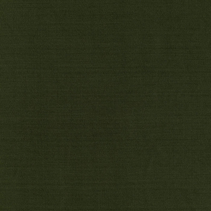 Schumacher Masaccio Taffeta Vert Fabric 63911