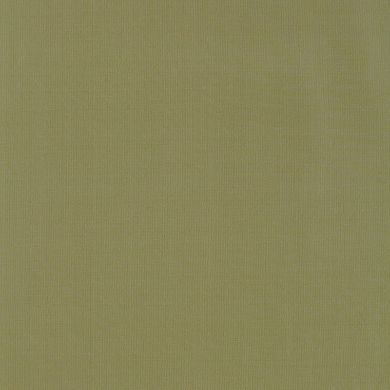 Schumacher Masaccio Taffeta Herb Fabric 63913