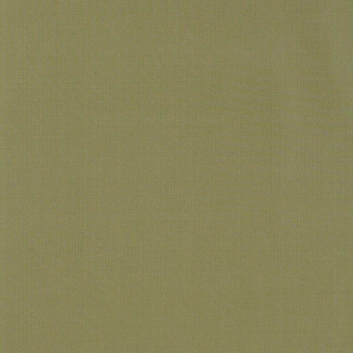 Schumacher Masaccio Taffeta Herb Fabric 63913