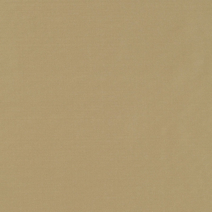 Schumacher Giordano Taffeta Sage Fabric Sample 63939