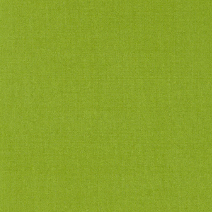 Schumacher Giordano Taffeta Lime Fabric 63969