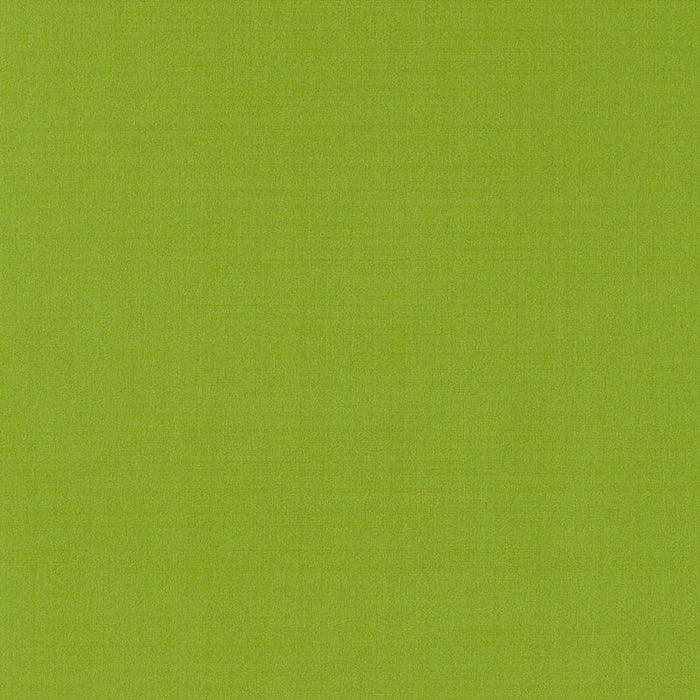 Schumacher Giordano Taffeta Lime Fabric Sample 63969