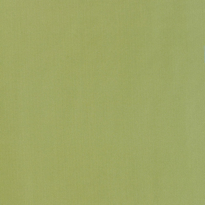 Schumacher Giordano Taffeta Kryptonite Fabric Sample 63970