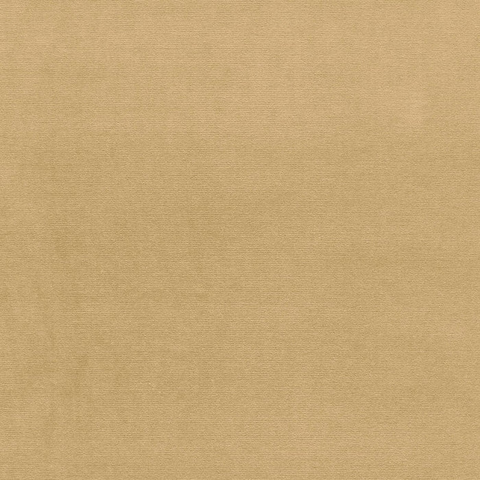 Schumacher Gainsborough Velvet Peanut Fabric Sample 64520