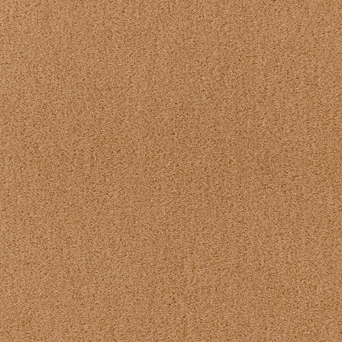 Schumacher San Carlo Mohair Velvet Sahara Fabric Sample 64850