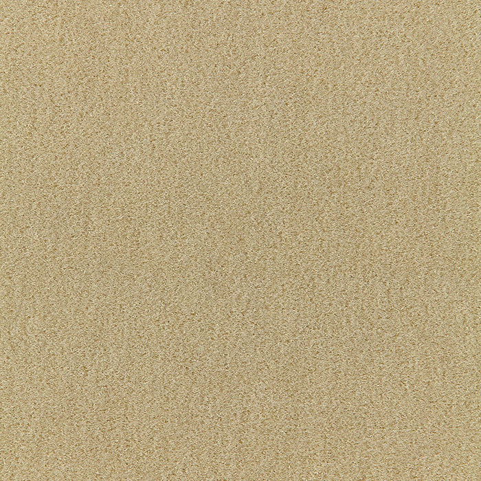 Schumacher San Carlo Mohair Velvet Putty Fabric Sample 64859