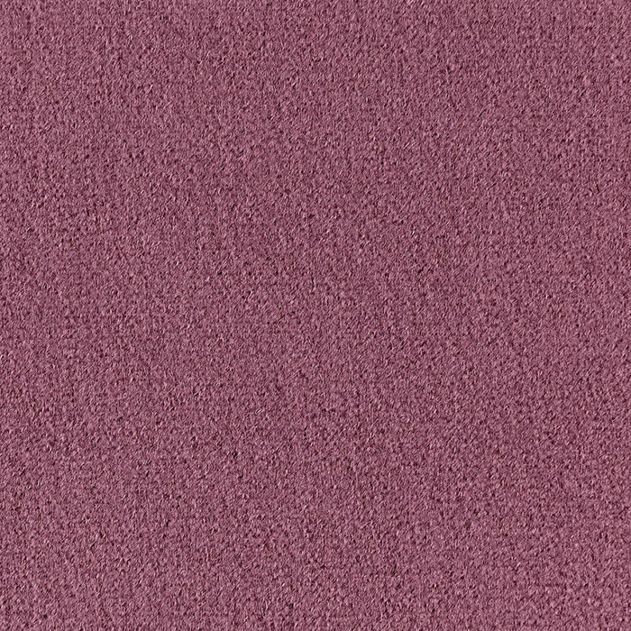 Schumacher San Carlo Mohair Velvet Thistle Fabric Sample 64860