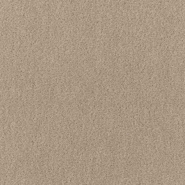 Schumacher San Carlo Mohair Velvet Fog Fabric Sample 64867