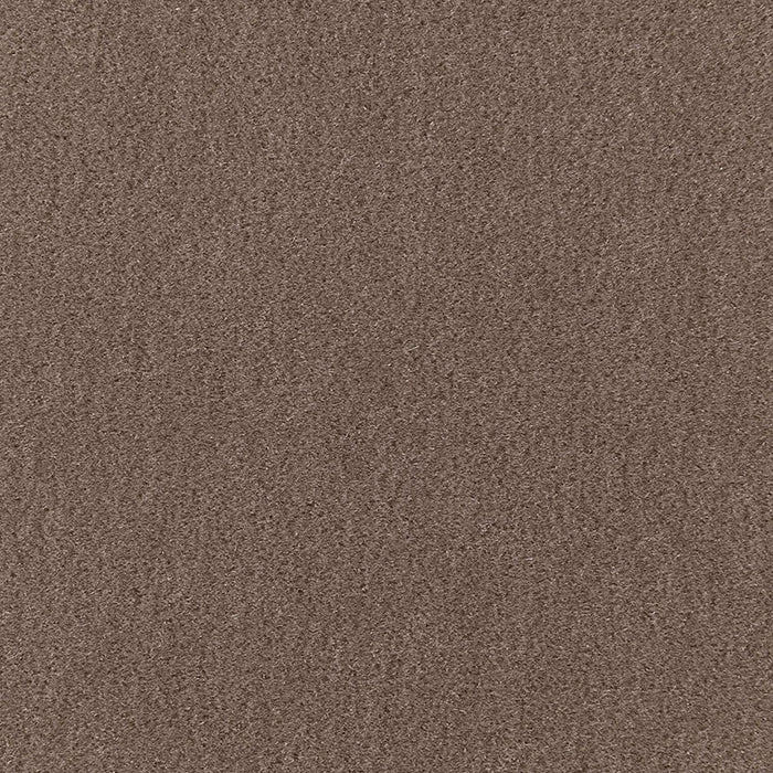 Schumacher San Carlo Mohair Velvet Driftwood Fabric Sample 64868