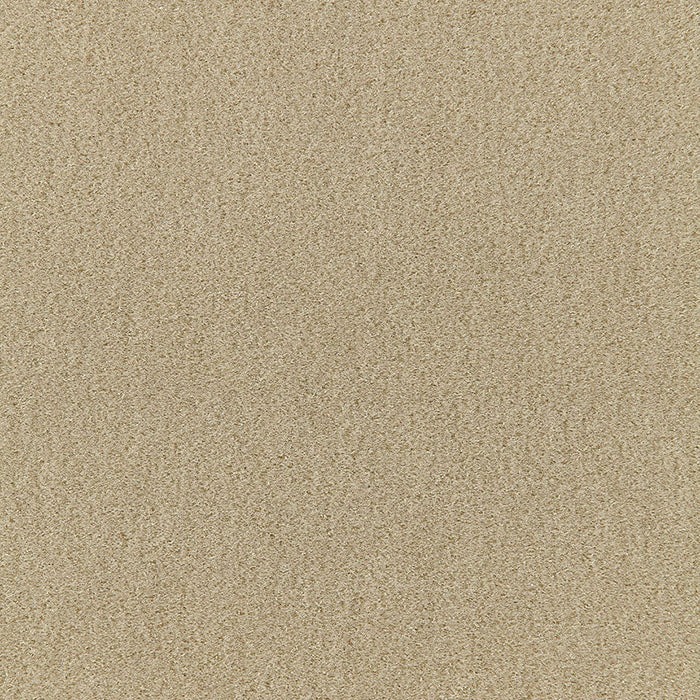 Schumacher San Carlo Mohair Velvet Pebble Fabric Sample 64871