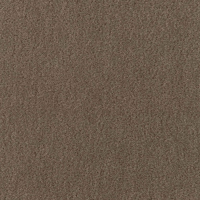 Schumacher San Carlo Mohair Velvet Taupe Fabric Sample 64884