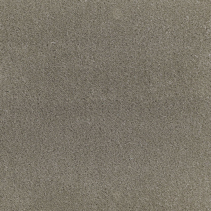 Schumacher San Carlo Mohair Velvet Moleskin Fabric Sample 64896