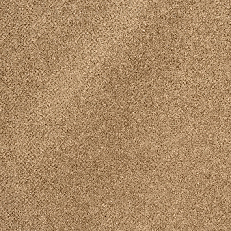 Schumacher San Carlo Mohair Velvet Doe Fabric Sample 64898