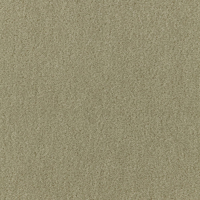 Schumacher Palermo Mohair Velvet Lichen Fabric 64931