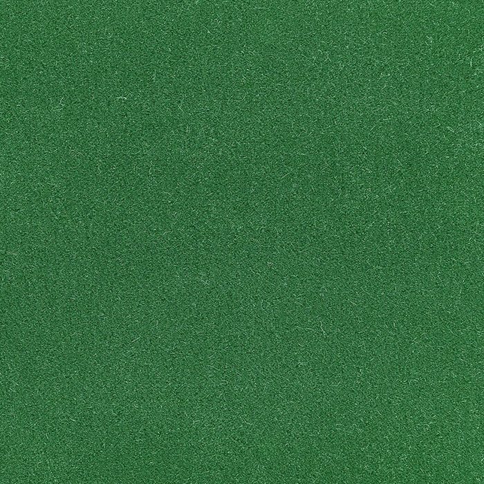 Schumacher Palermo Mohair Velvet Shamrock Fabric Sample 64935