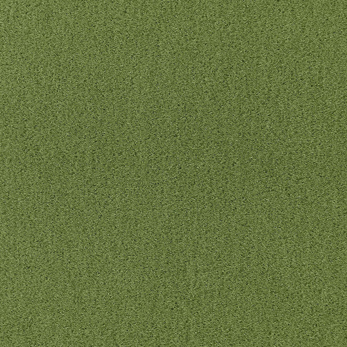 Schumacher Palermo Mohair Velvet Grass Fabric Sample 64937