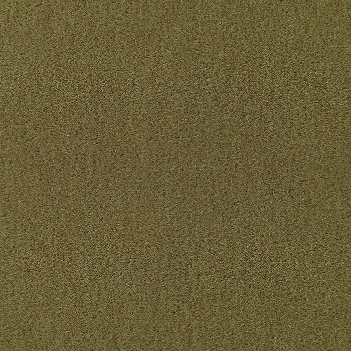 Schumacher Palermo Mohair Velvet Olive Fabric Sample 64938