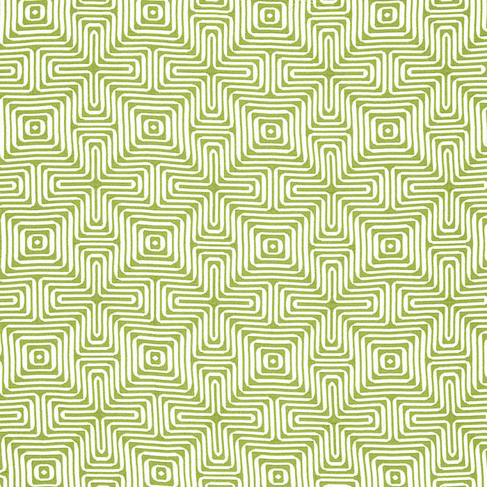 Schumacher Amazing Maze Palm Fabric Sample 65321