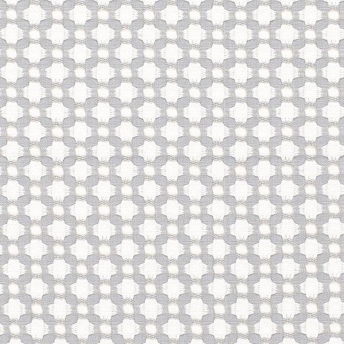 Schumacher Betwixt Zinc/Blanc Fabric Sample 65684